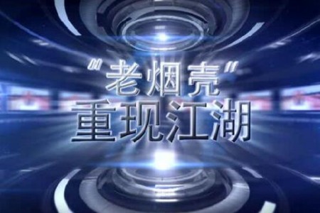 老煙殼重現(xiàn)江湖——縱論大勢，撥開2016大蒜迷霧 (4028播放)