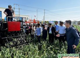 江蘇邳州：舉行大蒜收獲機(jī)觀摩會 ()