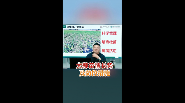 大蒜苗情長(zhǎng)勢(shì)及防控措施 (637播放)